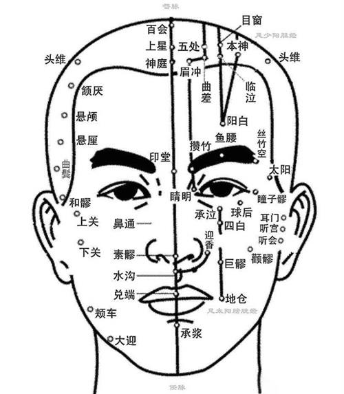 面部经络图详解，穴位按摩促进美容养颜的护肤技巧