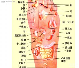 坐拥数百家门店，资产218亿的足浴大王，因兴建