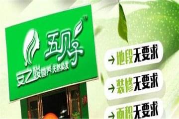 加盟植物染发加盟店成本要多少