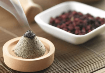 艾灸养生加盟哪家好？