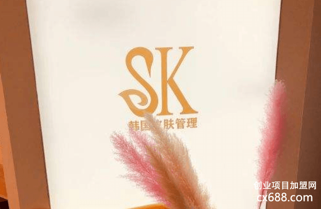 sk皮肤管理