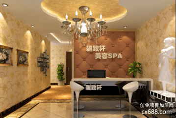 雅致轩美容院加盟费多少钱？