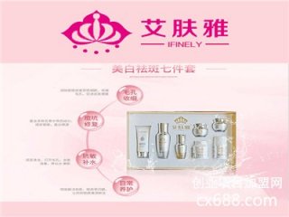 艾肤雅专业祛痘祛斑加盟