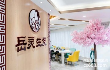 岳灵生发 品牌养发馆加盟