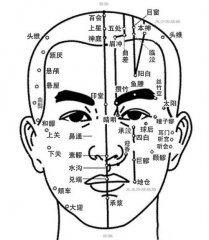 面部经络图详解，穴位按摩促进美容养颜的护肤技巧