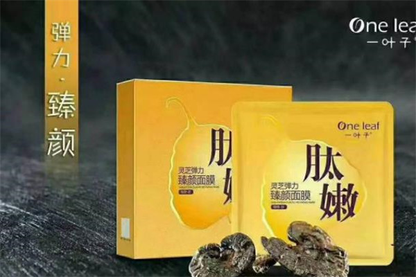 一叶子面膜 一叶子面膜