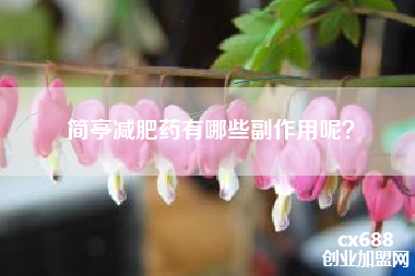 简亭减肥药有哪些副作用呢? 简亭减肥药有哪些副作用呢?
