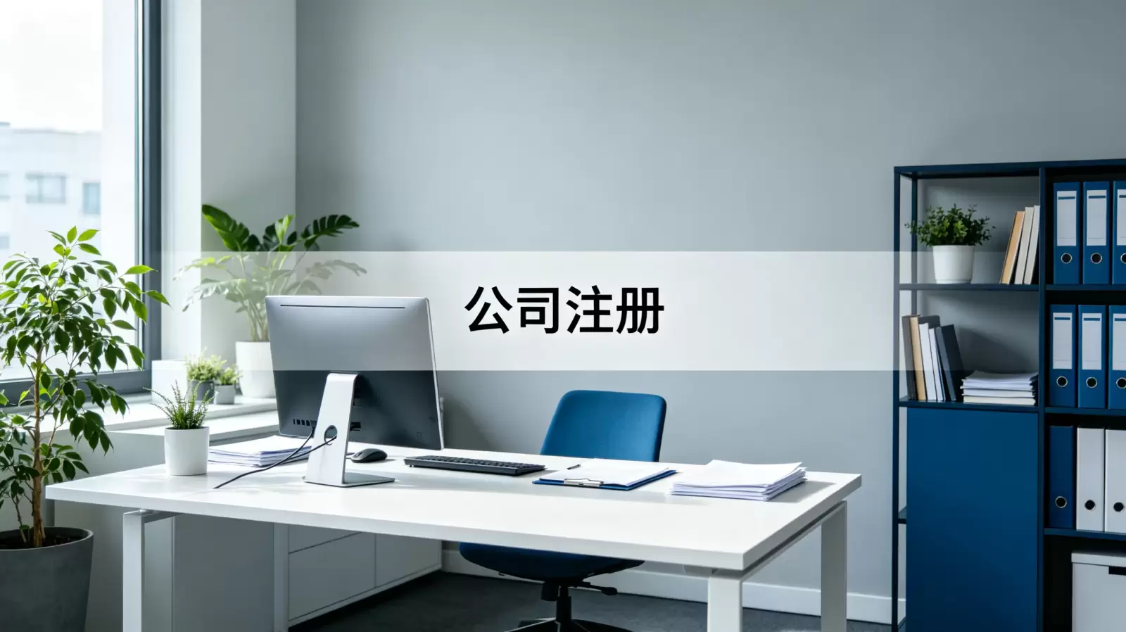 挪威公司注册证明文件有哪些种类 配图 1